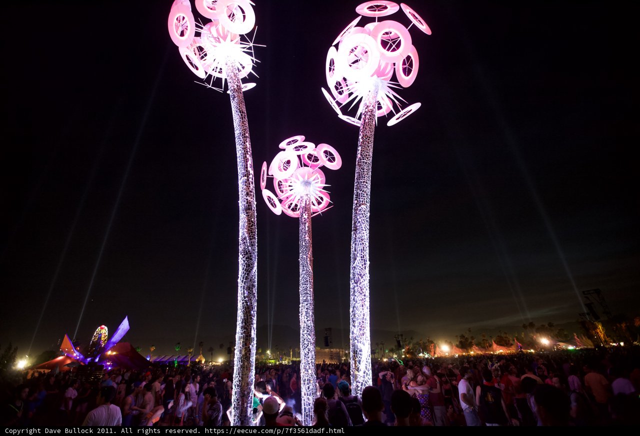 Illuminated Palm Tree at Coachella Festival