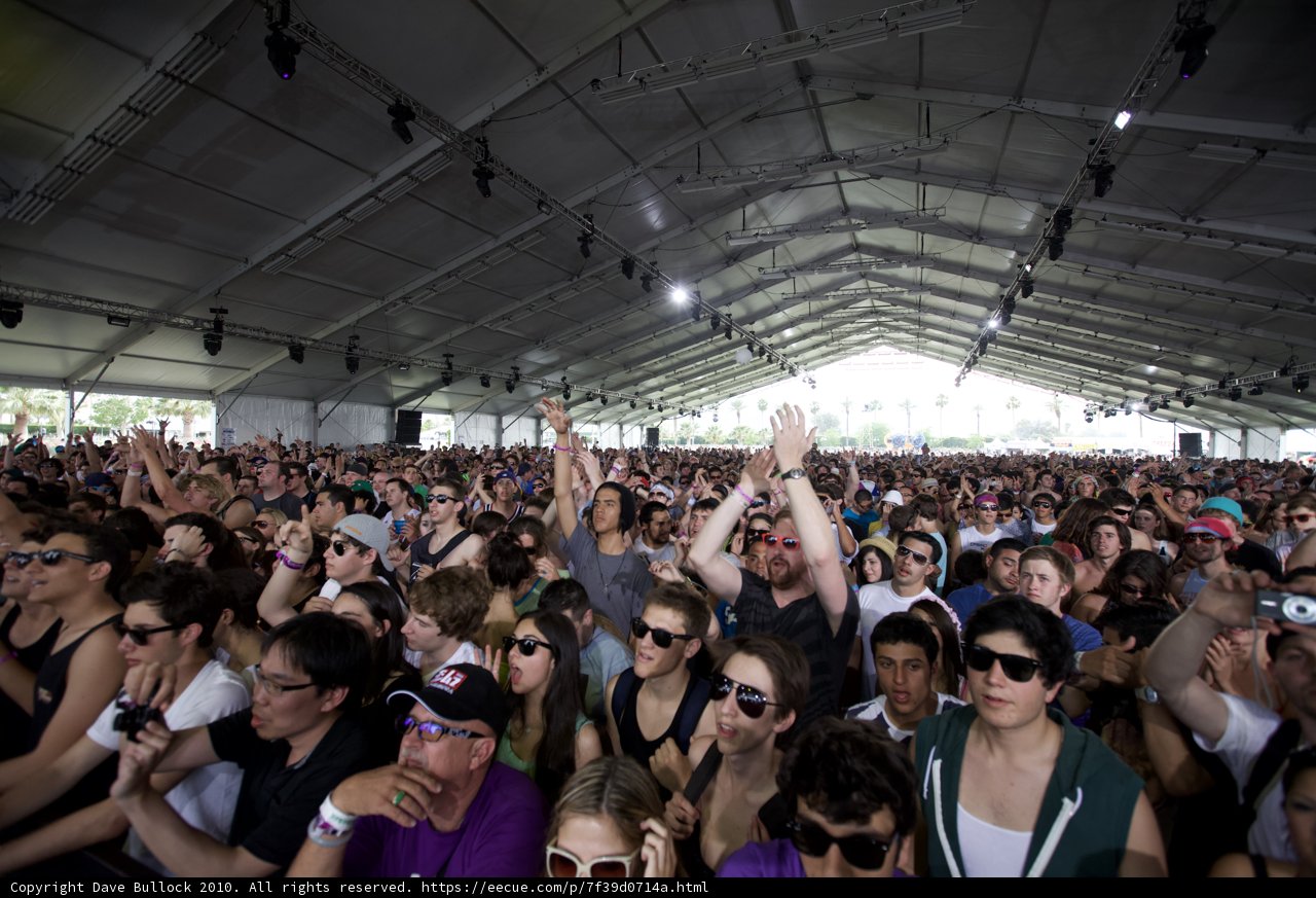 Coachella Crowd Goes Wild