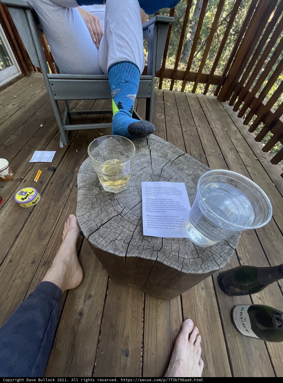 Relaxing on the Deck