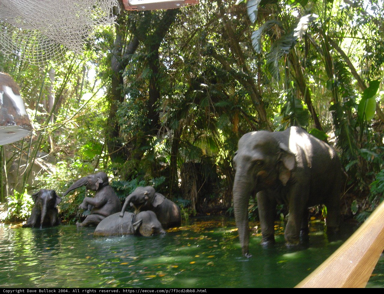 The Elephant Dip