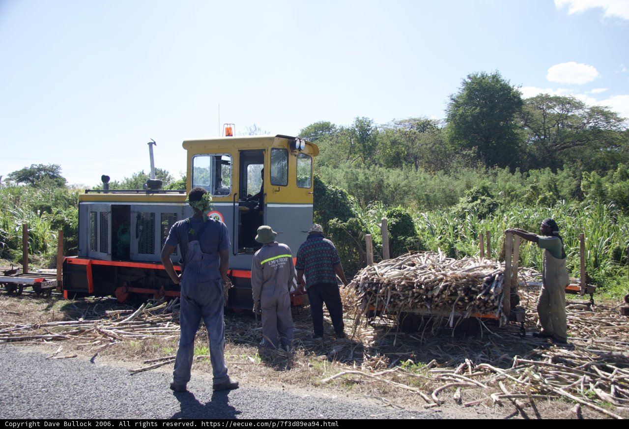 The Railway Workers