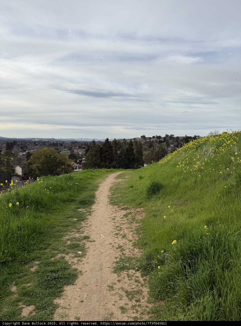 A Stroll Through Lime Ridge