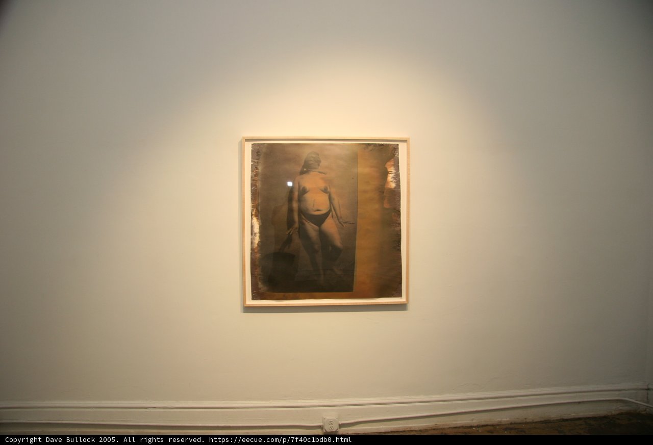Artistic Elegance