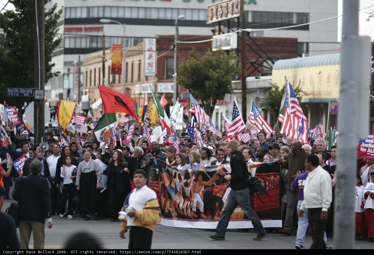 Massive Crowd Celebrating with Flags and Banners