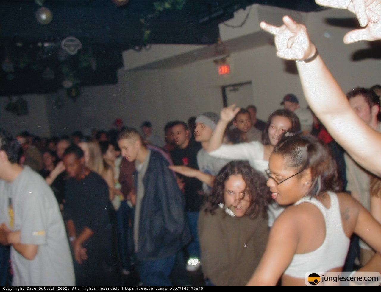 Dancing Queen at the Nightclub