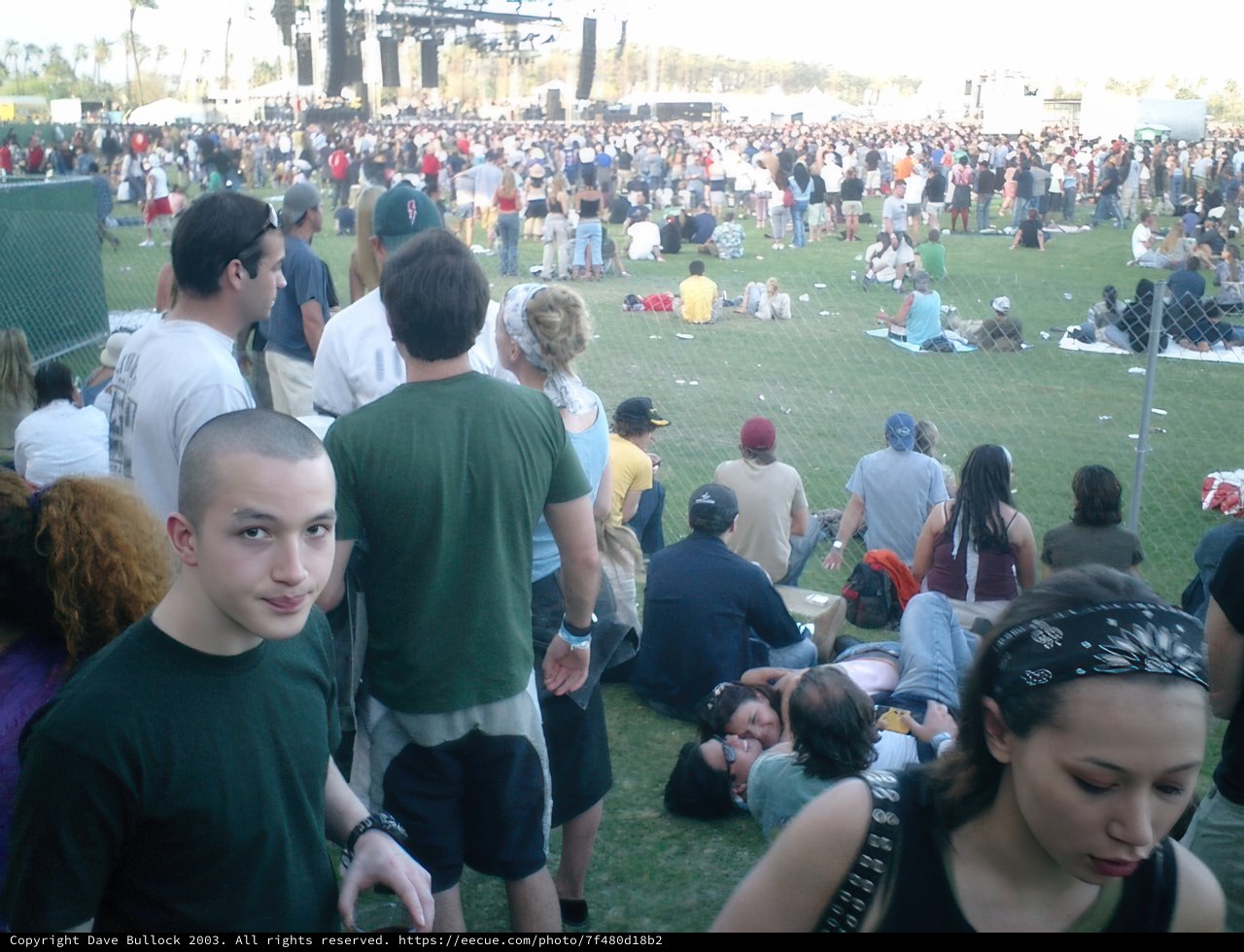 Coachella Crowd Goes Wild