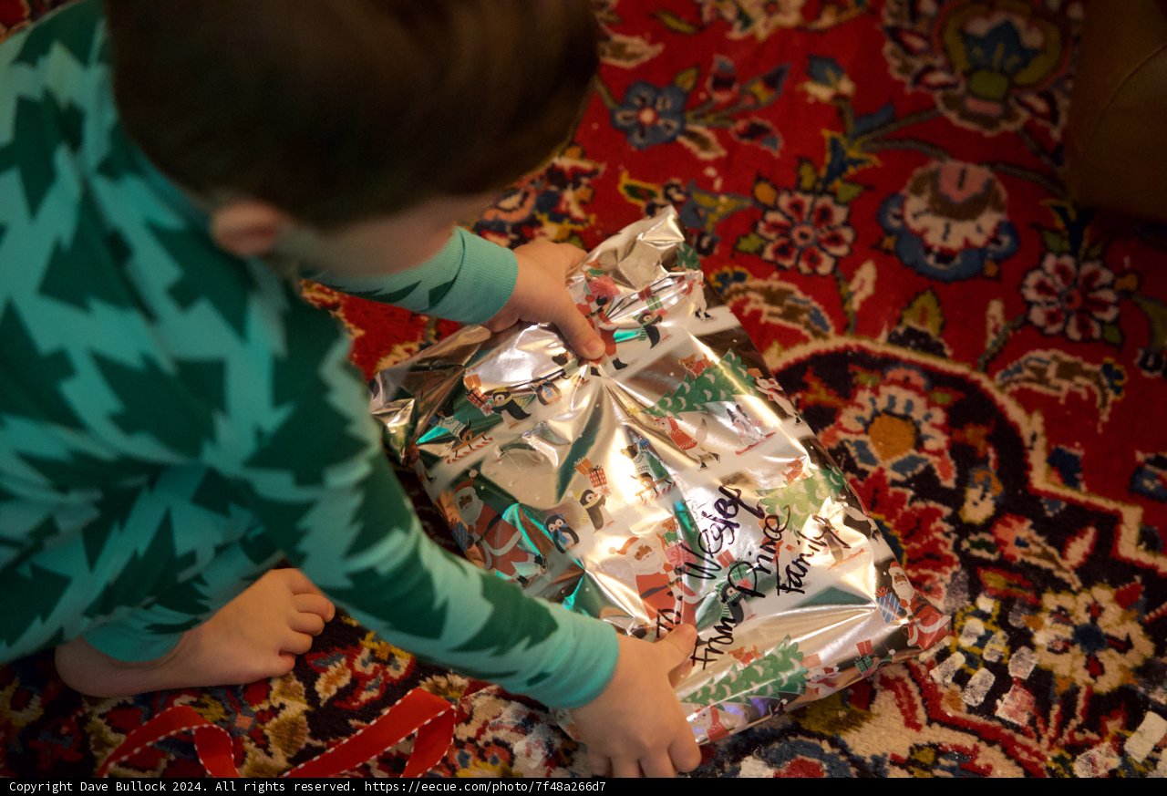 Christmas Surprise