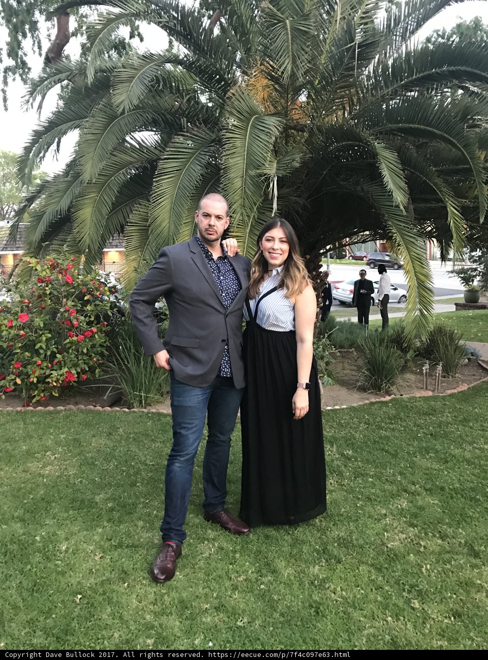 A Formal Evening amidst the Palms