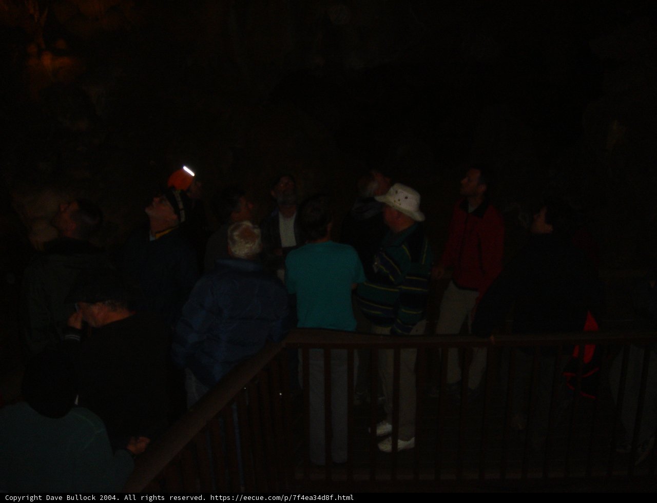 Cave Vigil