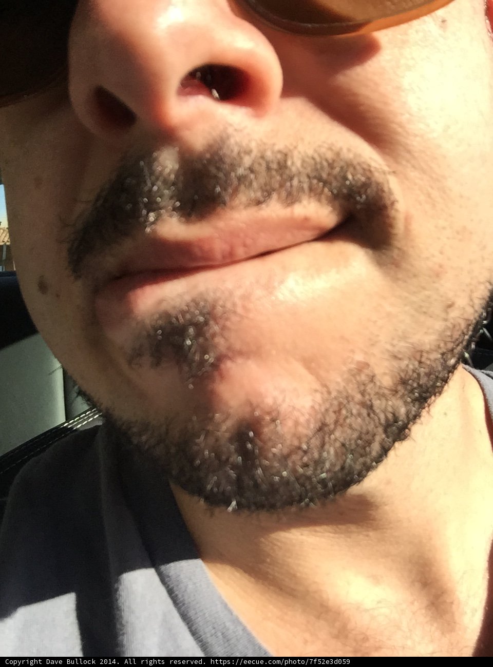 Mustachioed Man in LA