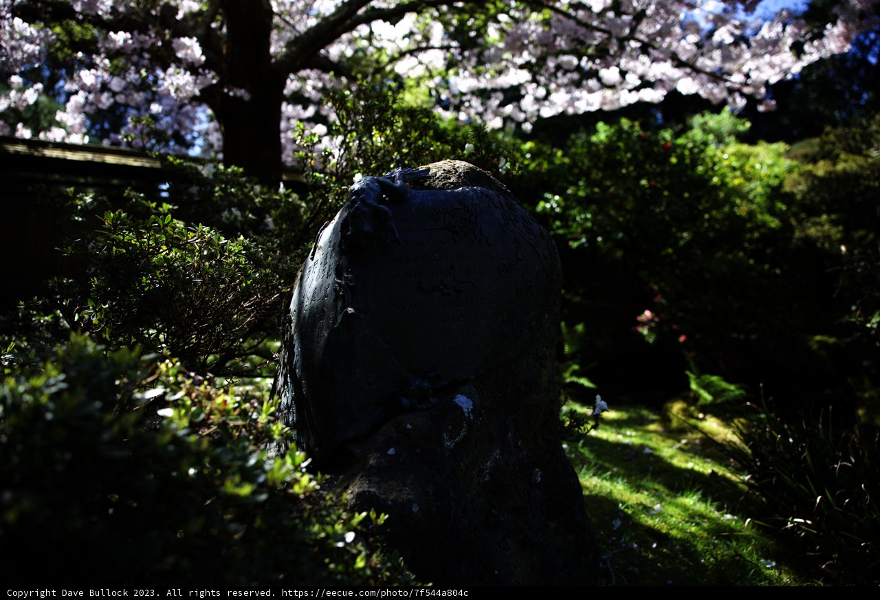 Timeless Tribute in the Japanese Tea Garden