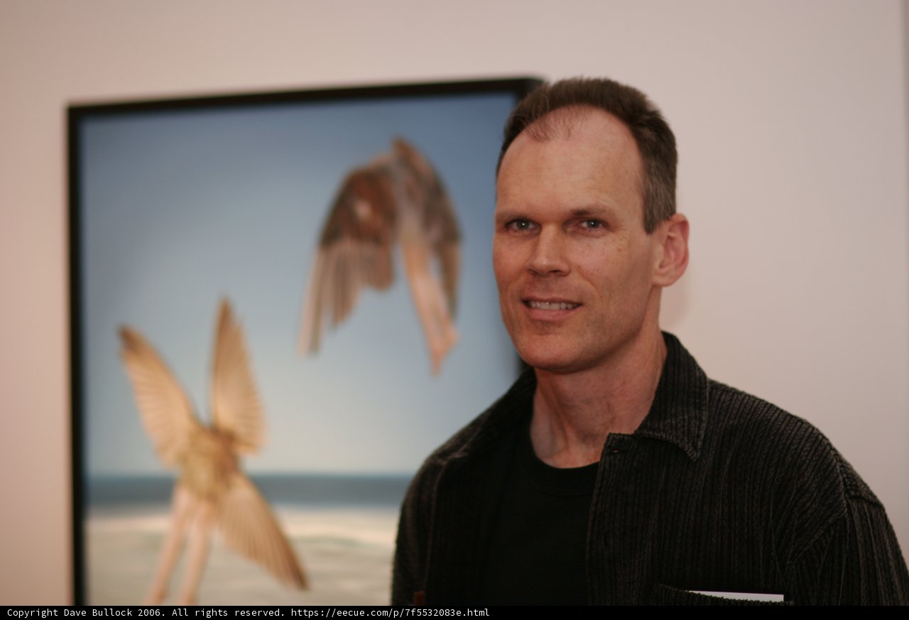 Birdwatching Art Appreciation