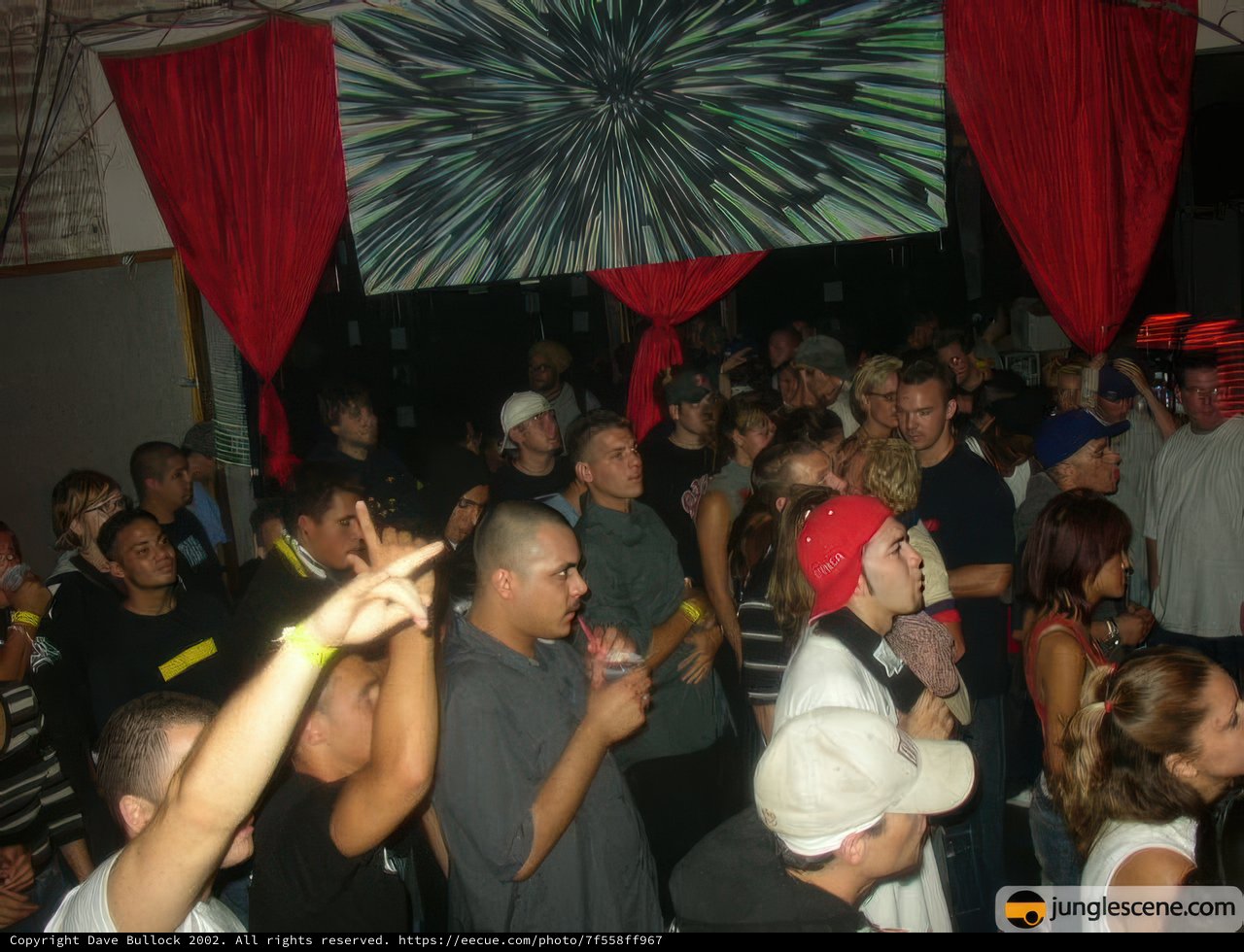 Party Mania