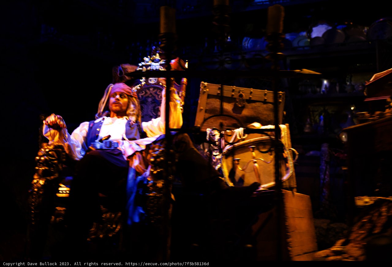 A Serene Moment at Disneyland