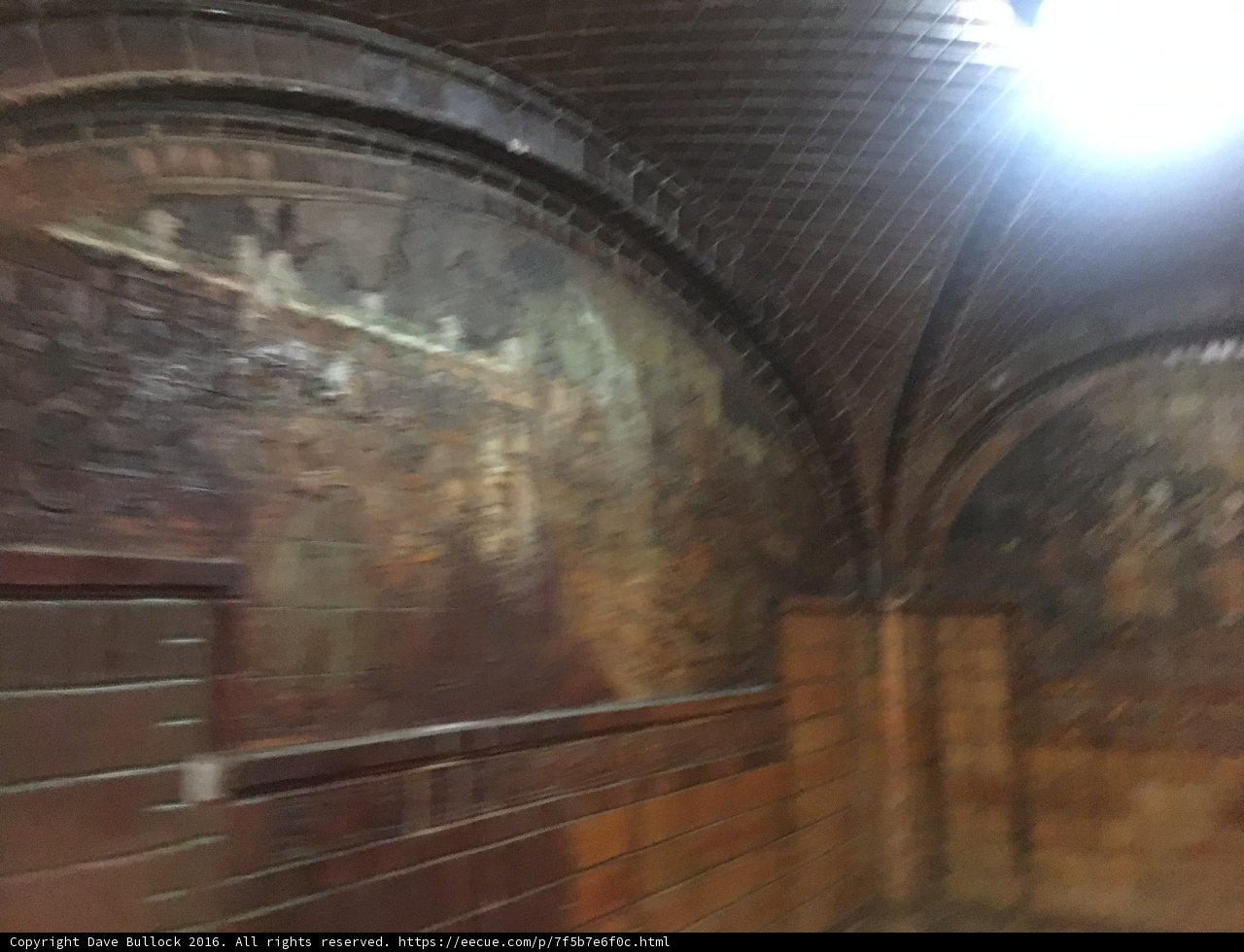 Cryptic Tunnel