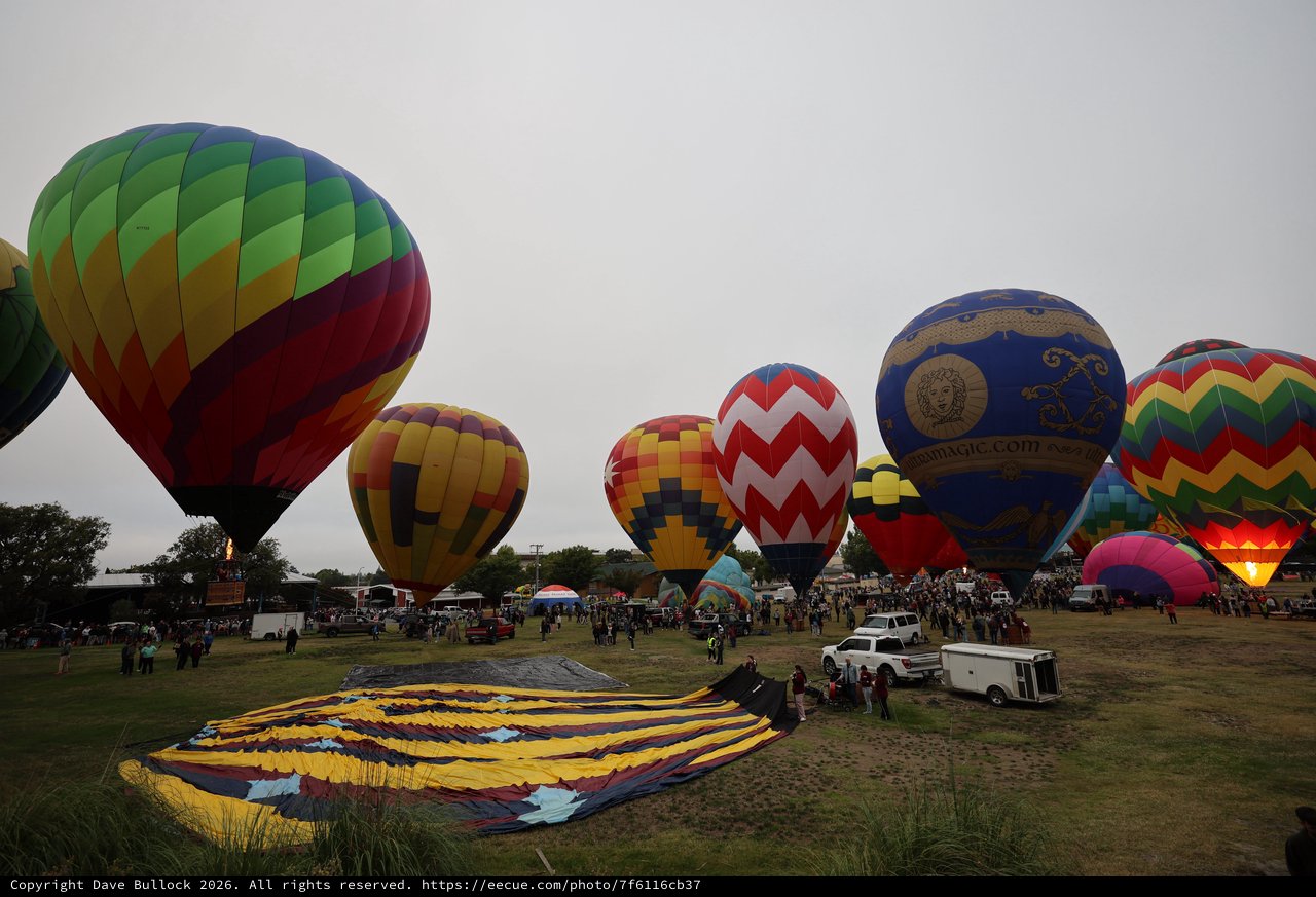 Colorful Hot Air Balloons Rise at Dawn Festival