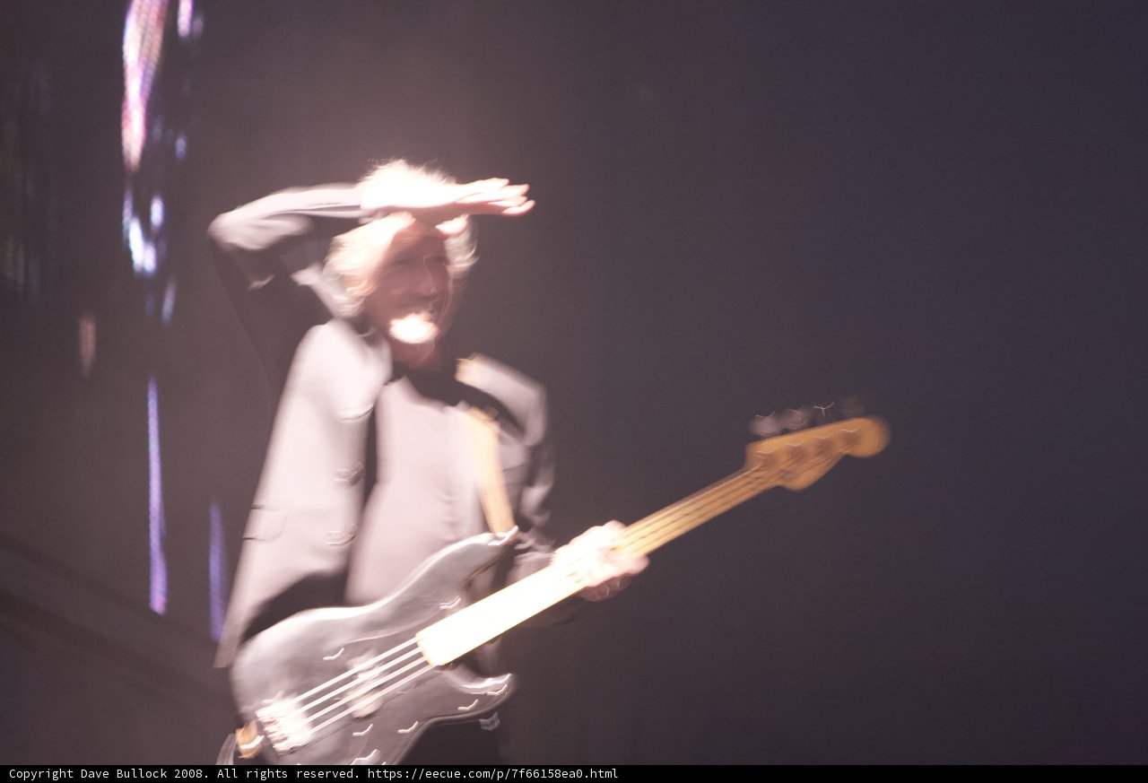 Bassist Shreds for Enthusiastic Crowd at Coachella