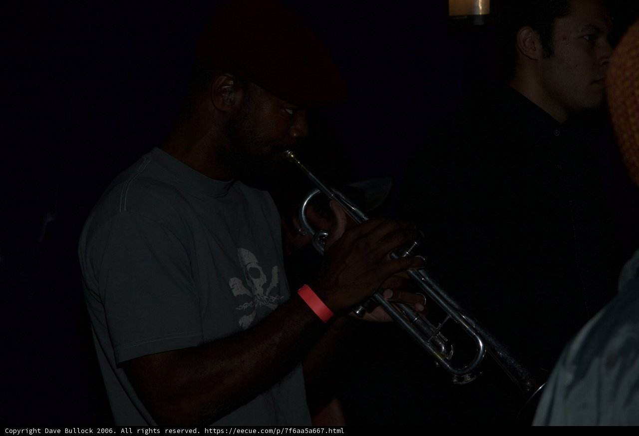Midnight Melodies