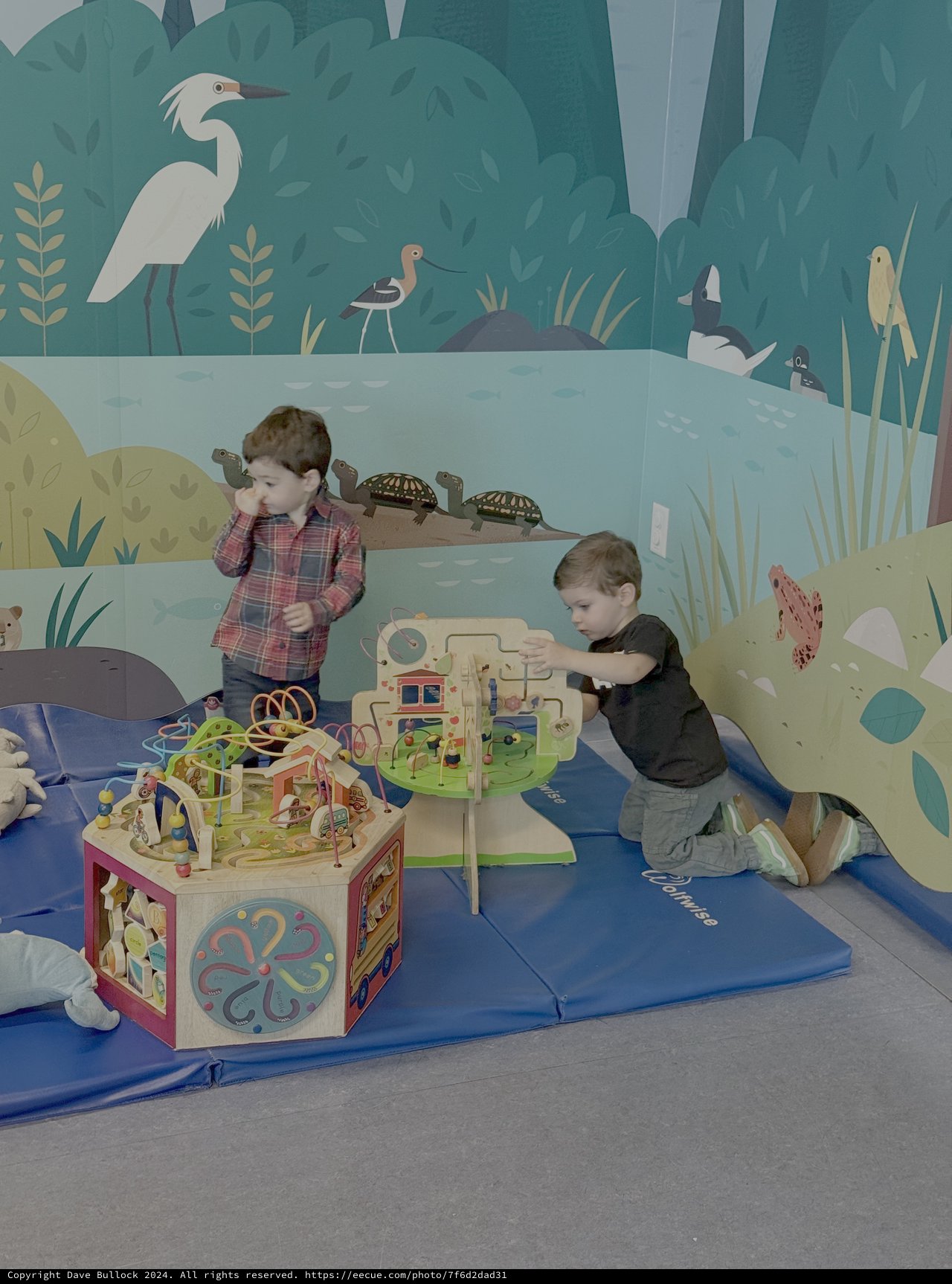 Children Playing in Nature-Themed Indoor Play Area