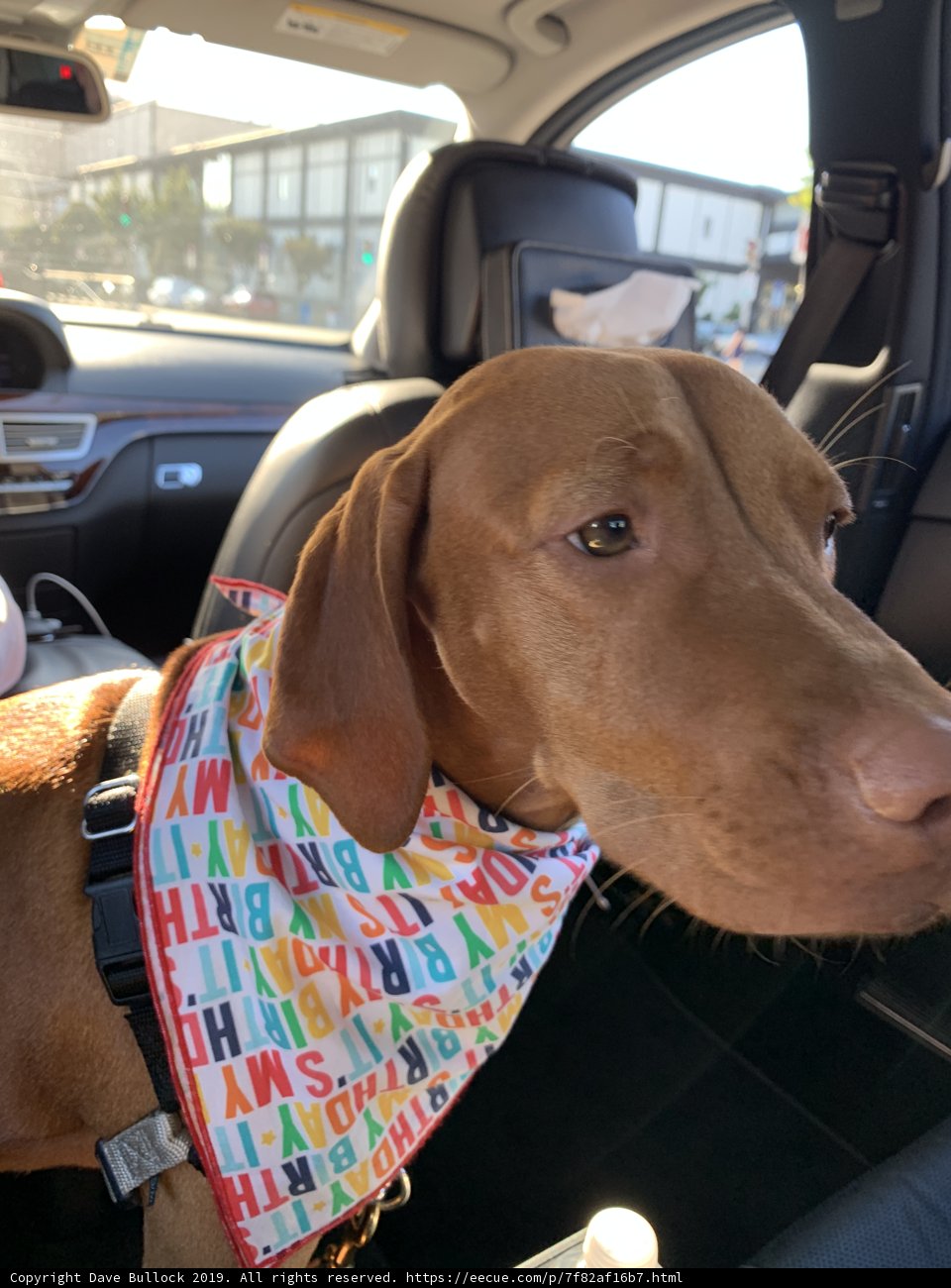 Riding in Style