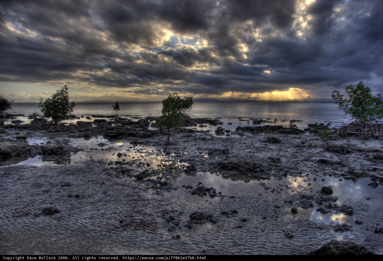 Clouds over the swamp