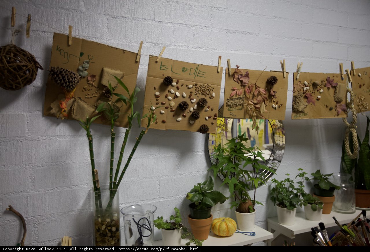 Indoor Garden on Plywood Wall