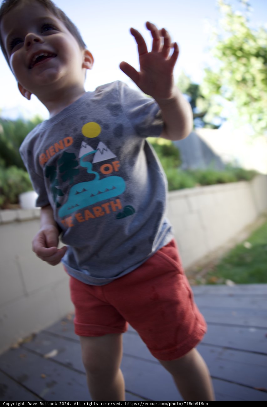 Joyful Steps in Summer Sunshine