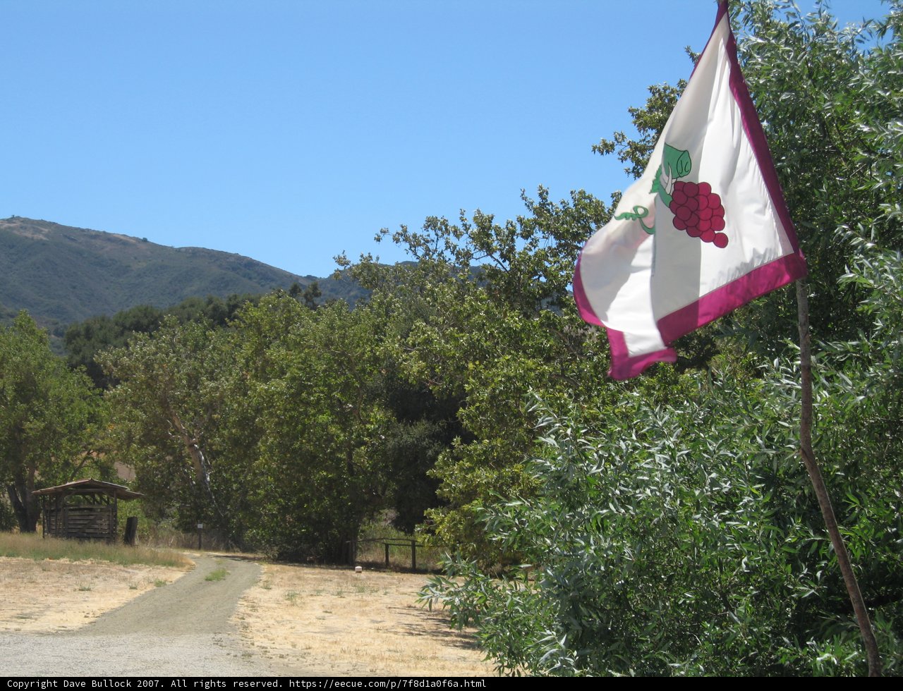 Proud Flag Flying High