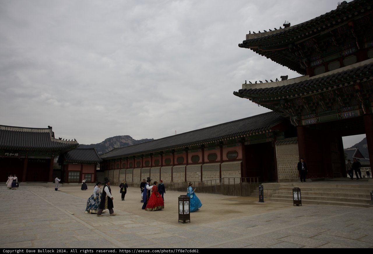 A Vibrant Journey Through Tradition, Korea 2024
