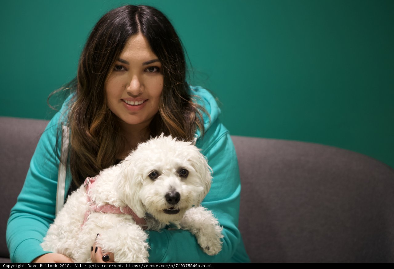 A Woman and Her Poodle: A Match Made in Heaven
