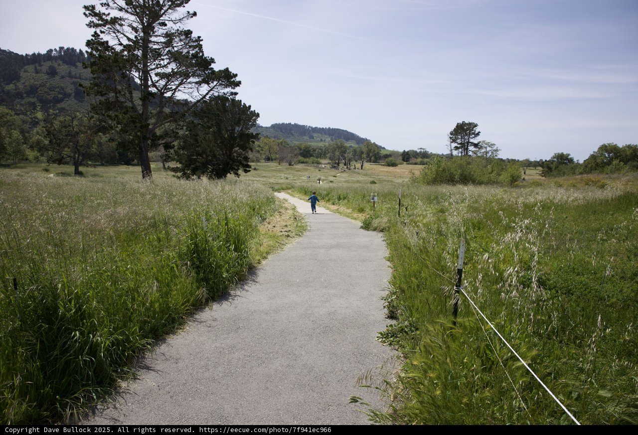 Paths Less Traveled