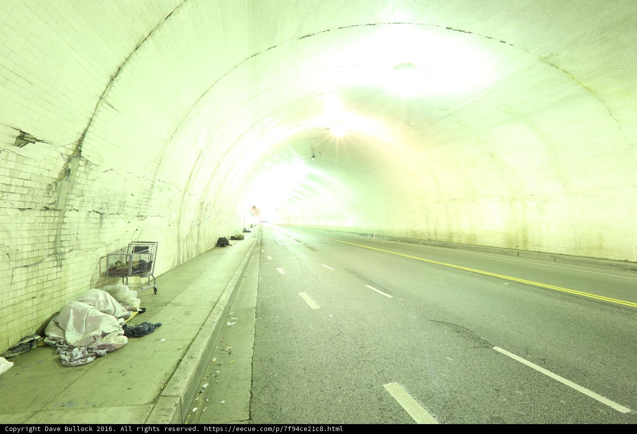 Tunnel Dweller