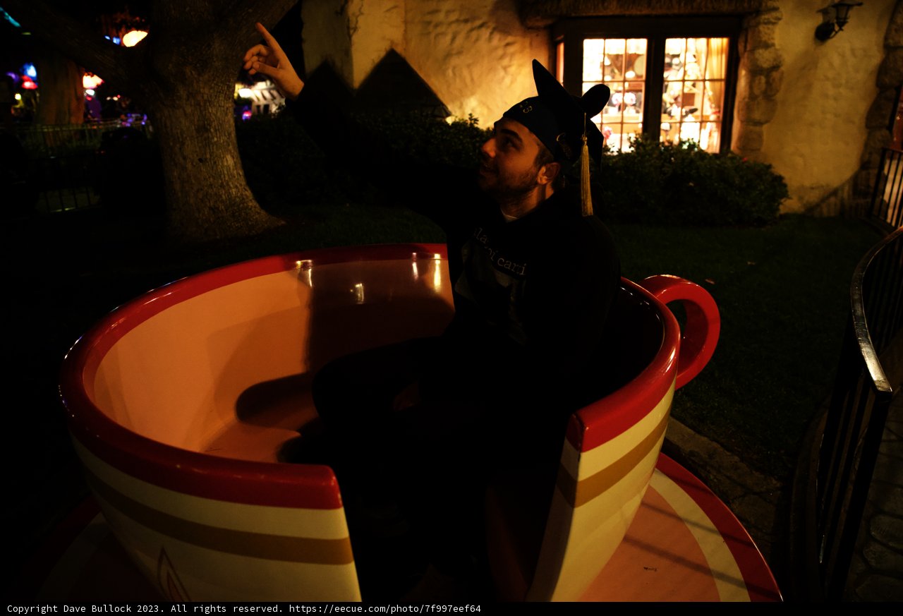 Whimsical Teacup Adventure