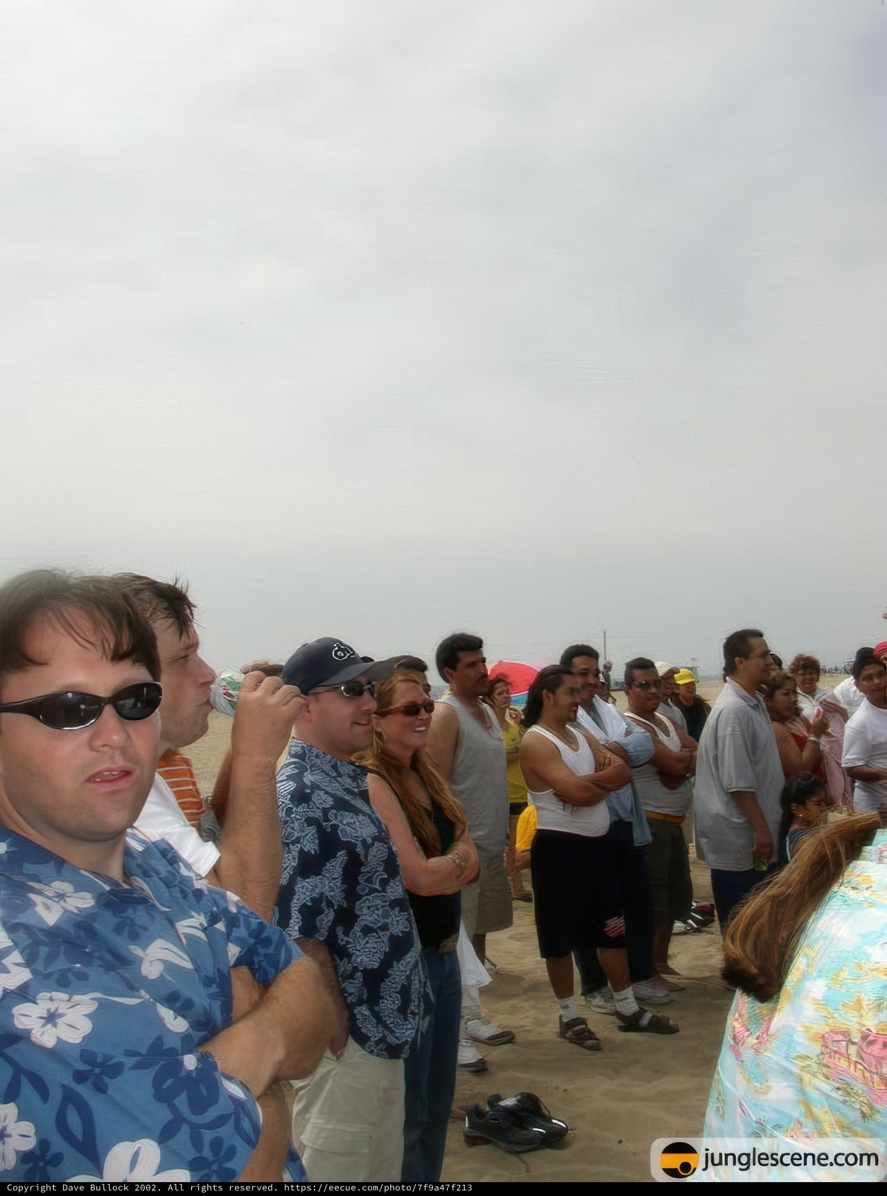 Beachy Sunglass Spectators