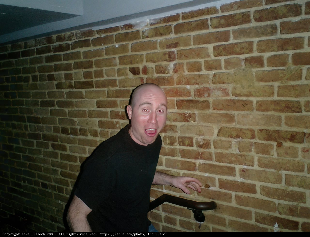 Brick Building Portrait