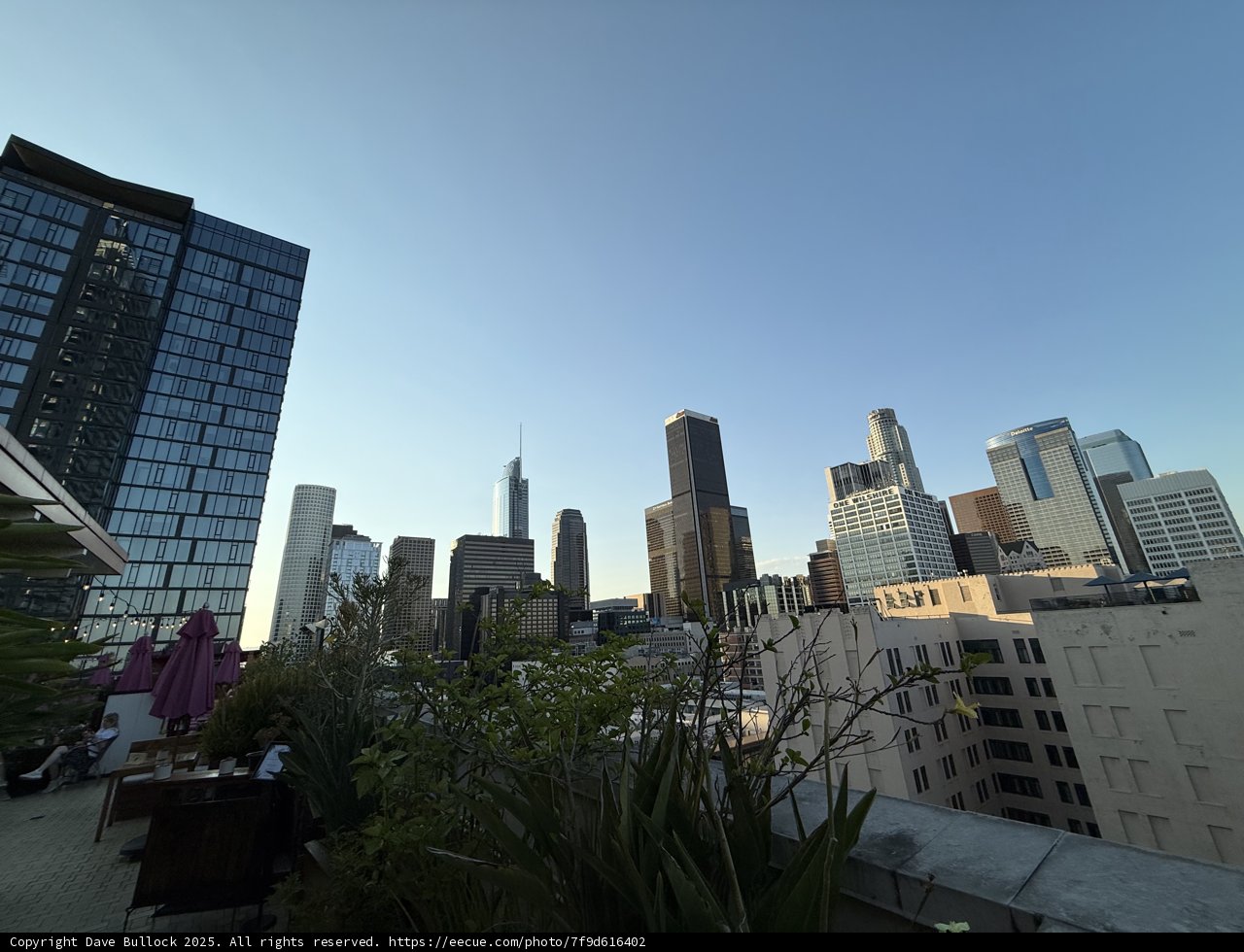 Urban Oasis