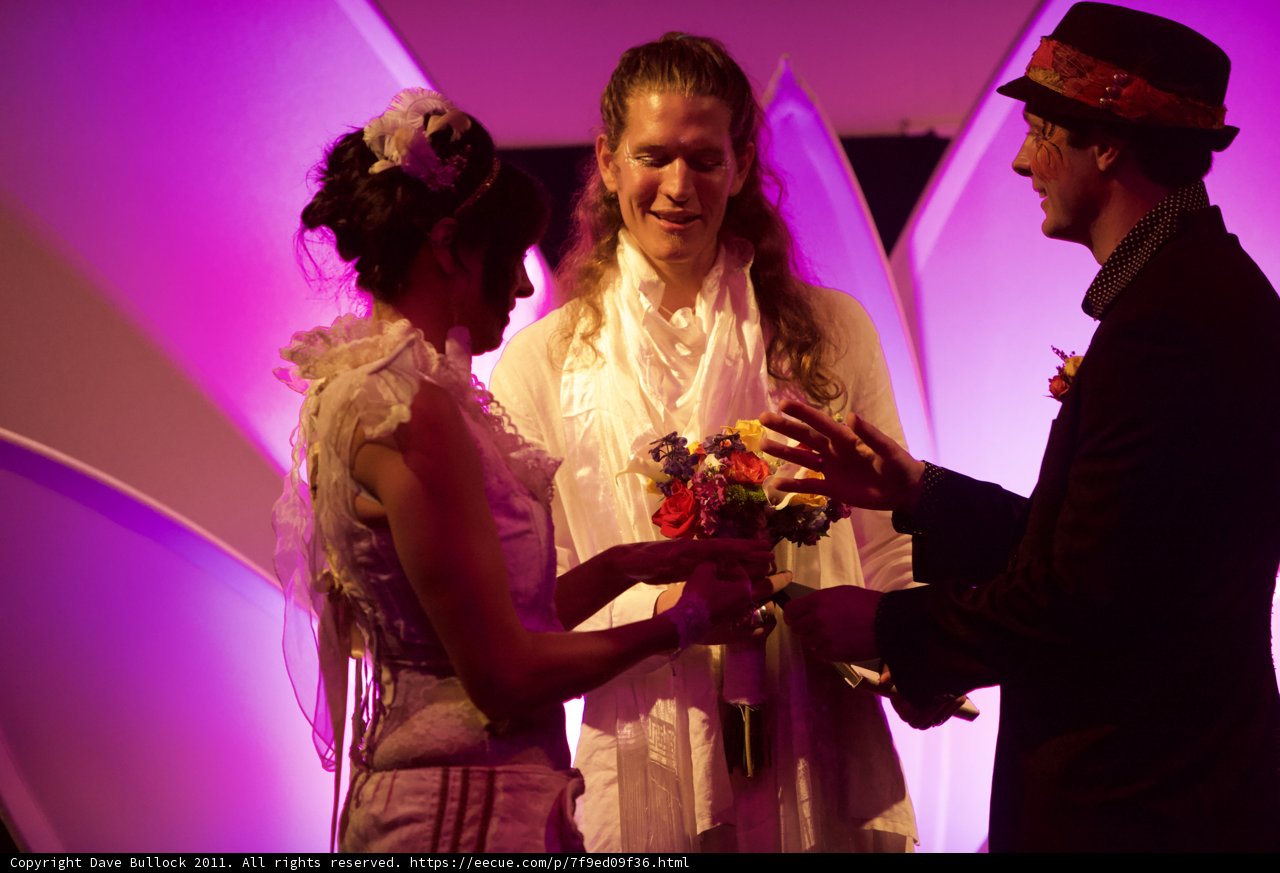 Exchanging Vows and Rings