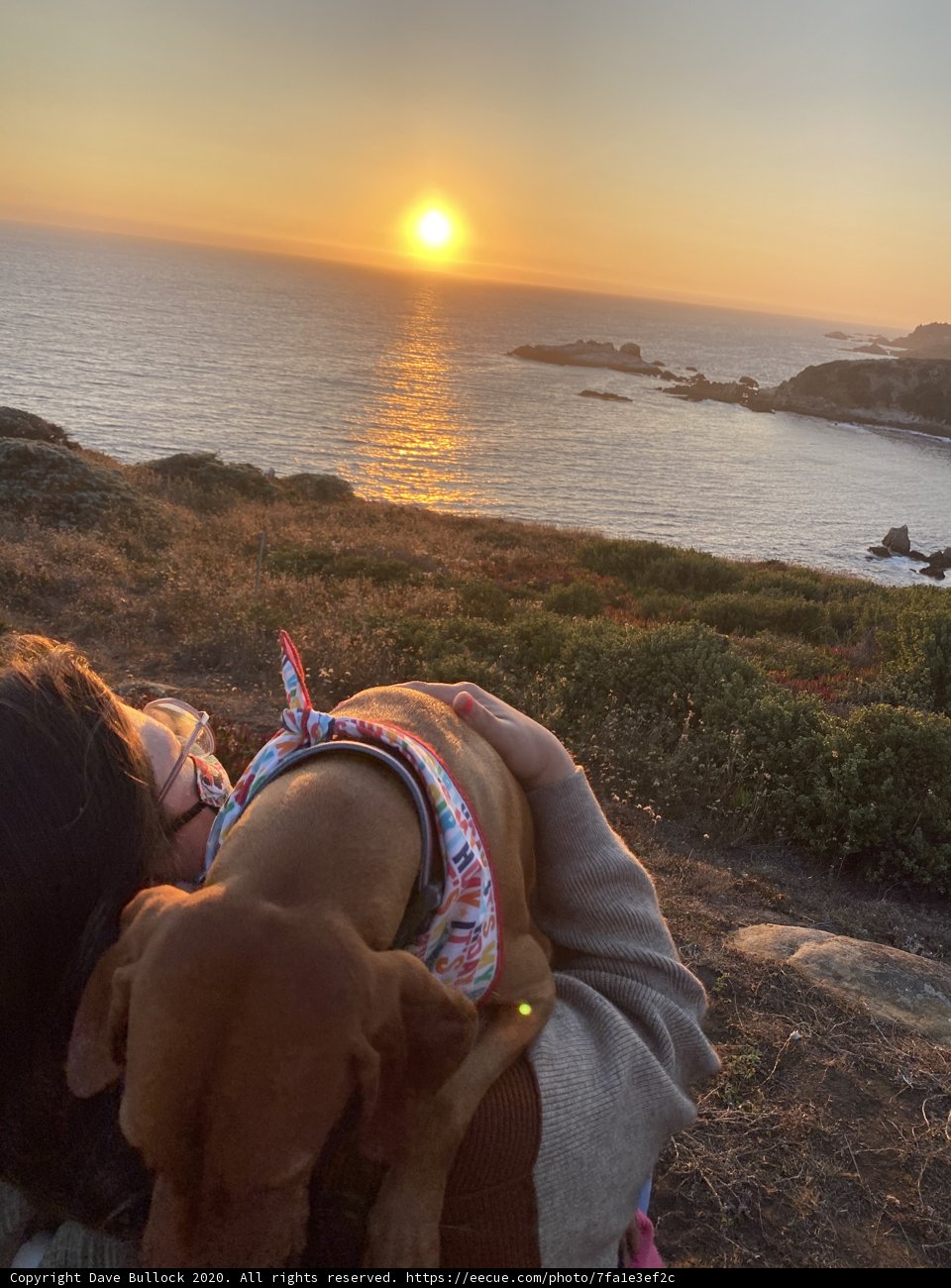 Sunset Serenade
