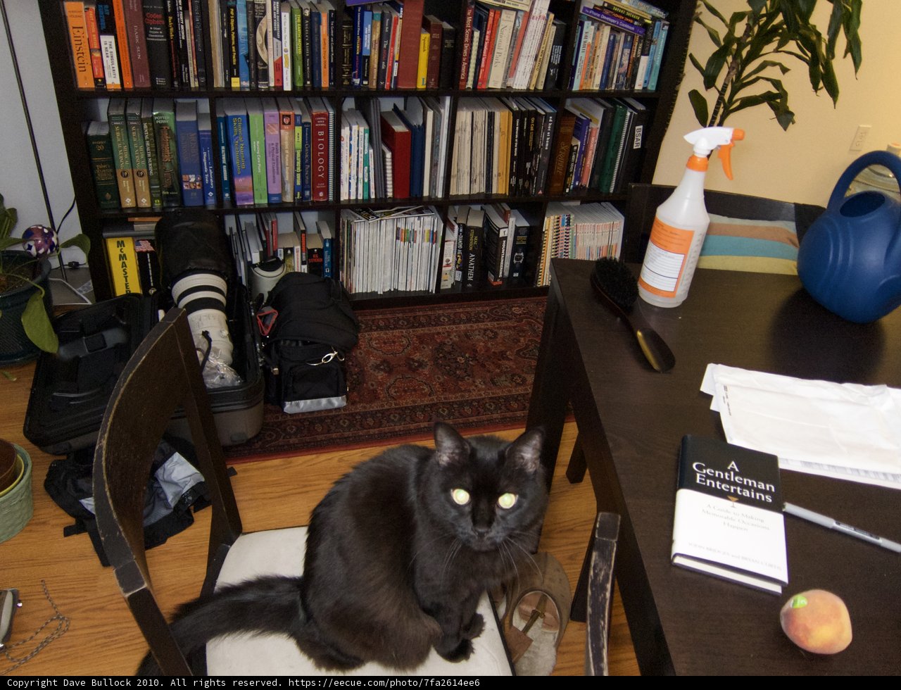 The Bookshelf Companion