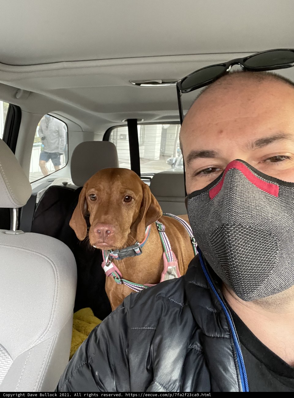 Masked Man and his Furry Travel Buddy