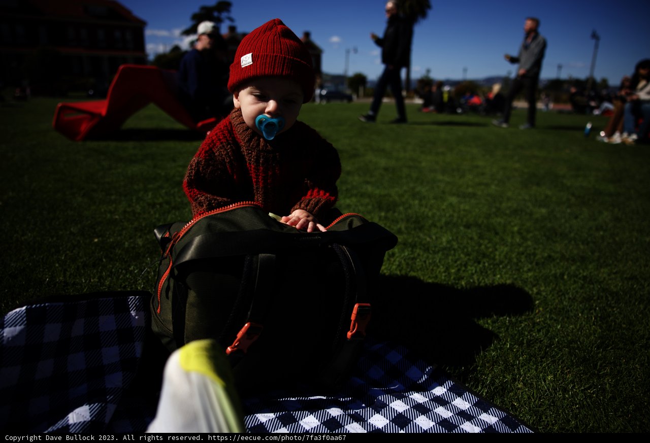 Delightful Baby Picnic