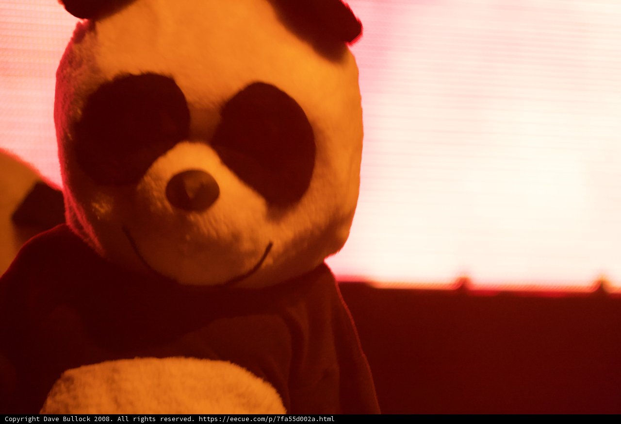 Coachella's Cutest Mascot