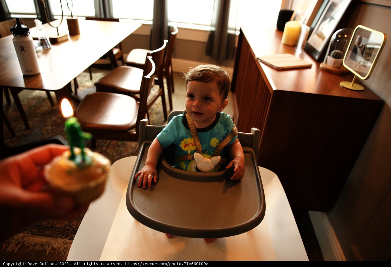Wesley's First Birthday Extravaganza