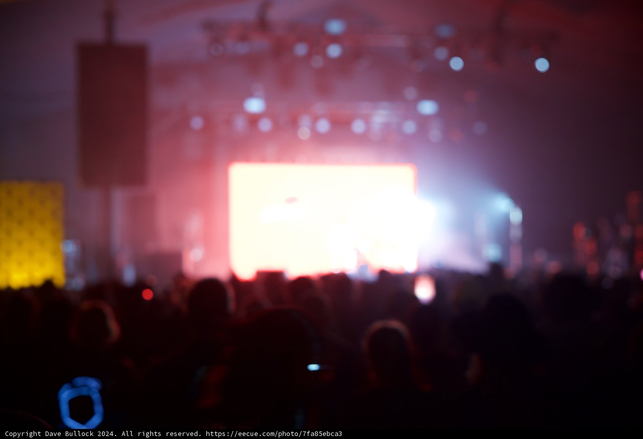 Illuminated Euphoria: Coachella Night