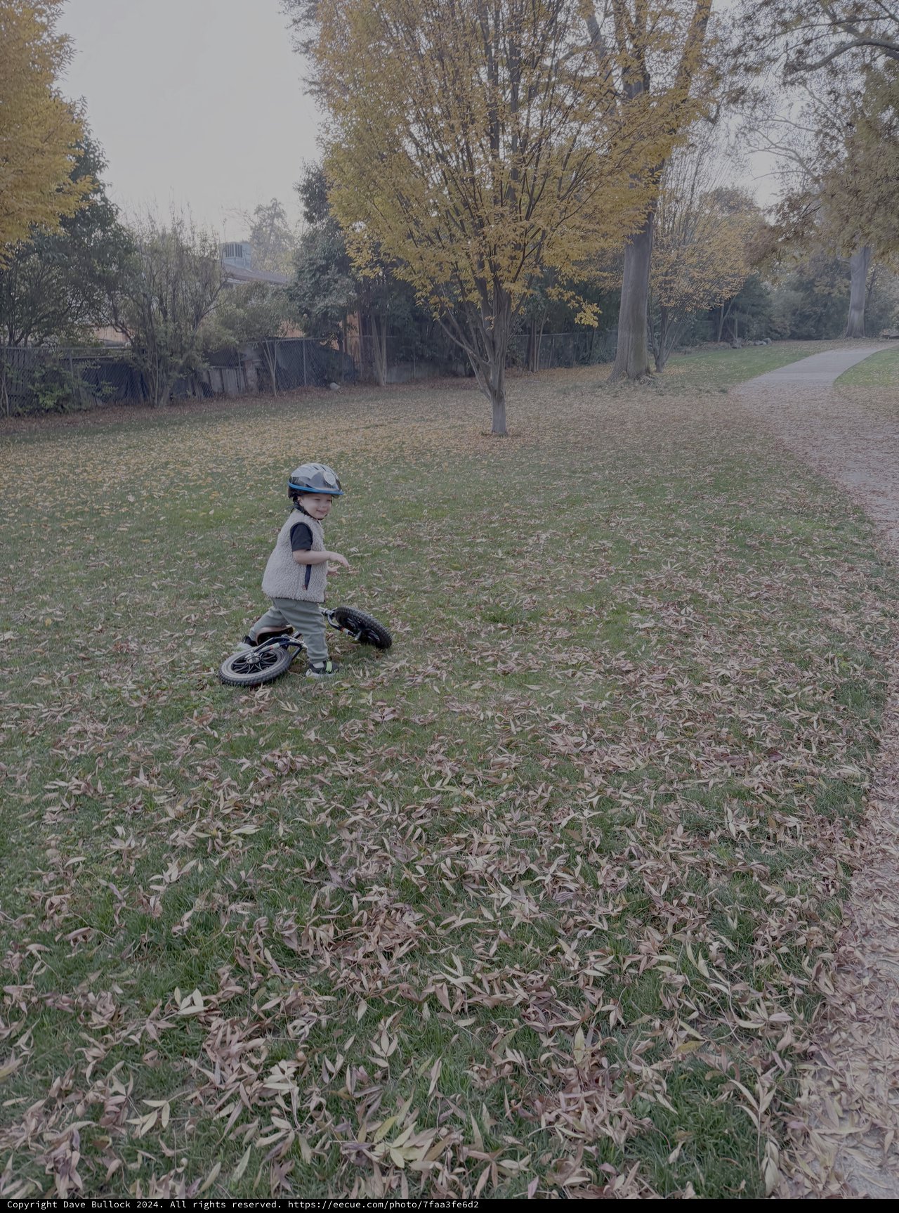 Young Child Learning to Ride Balance Bike