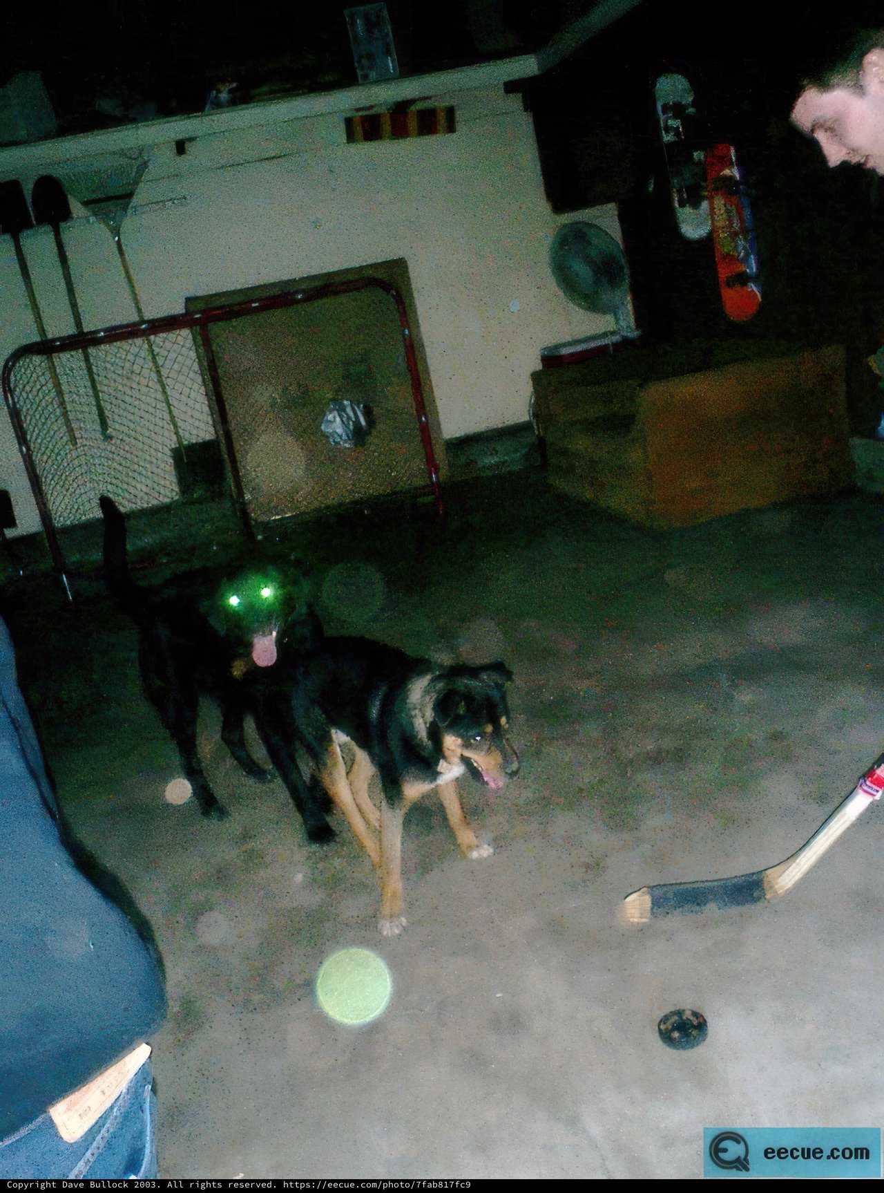 Hockey Buddies