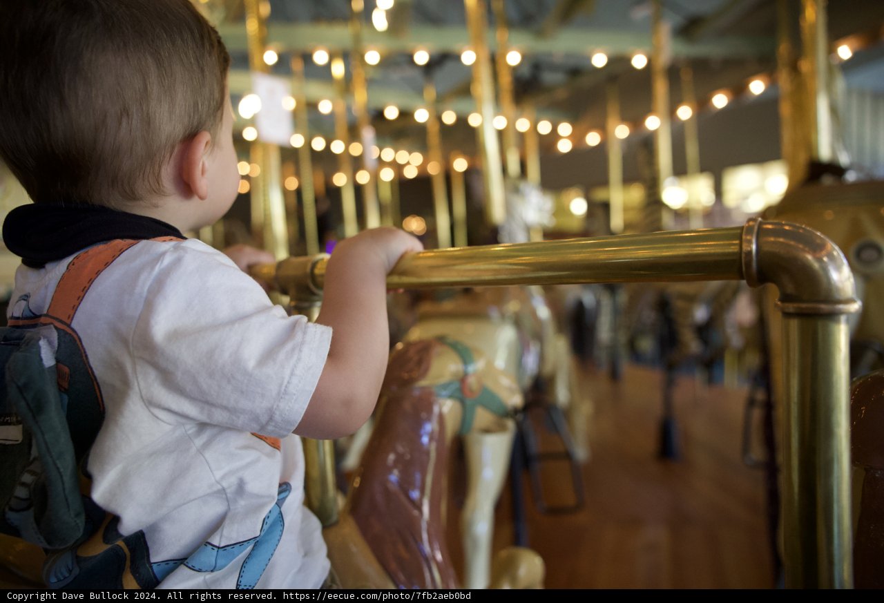 Joyful Rounds on the Carousel