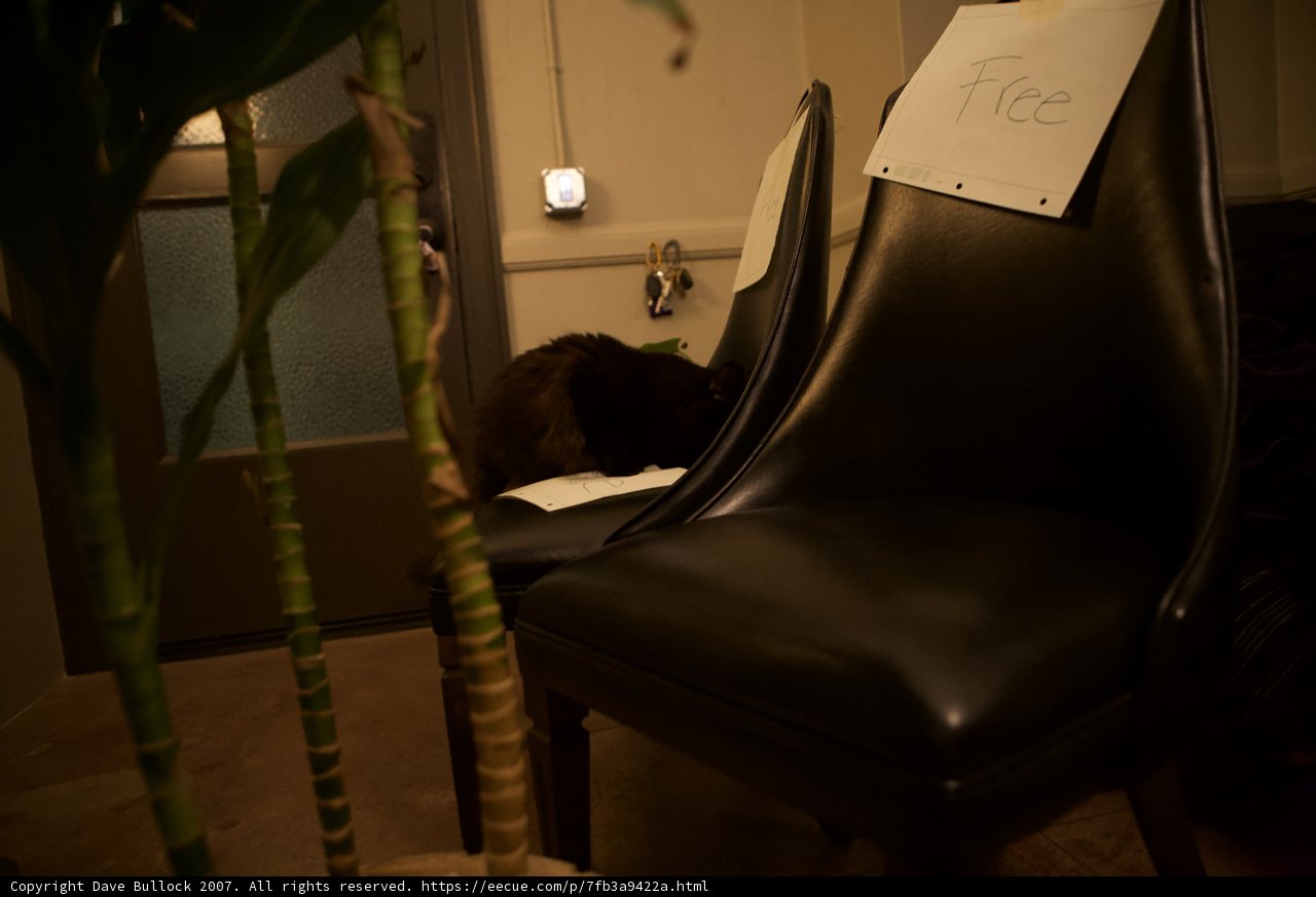 The Lonely Chair