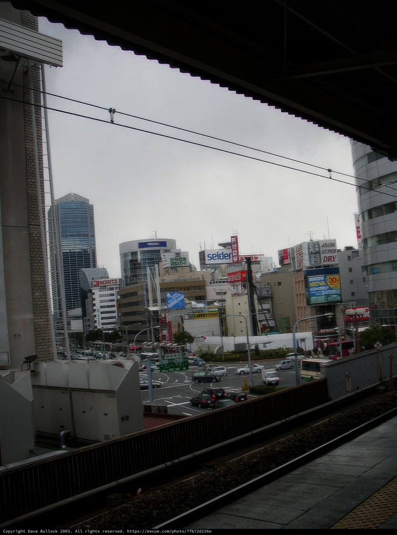Urban Jungle