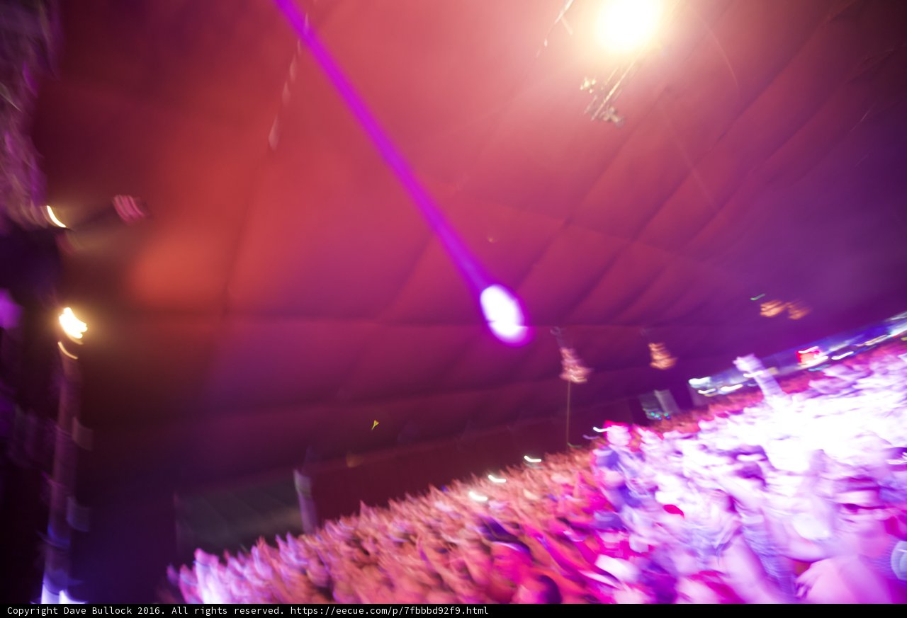 Purple Haze at Coachella
